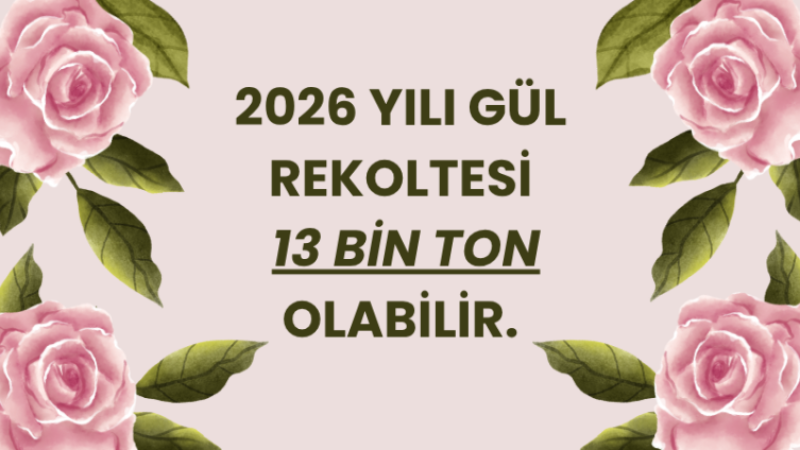 Isparta’da Gül Sezonu Öncesi Umutlu Bekleyiş: Rekolte 13 Bin Tonu Bulabilir .