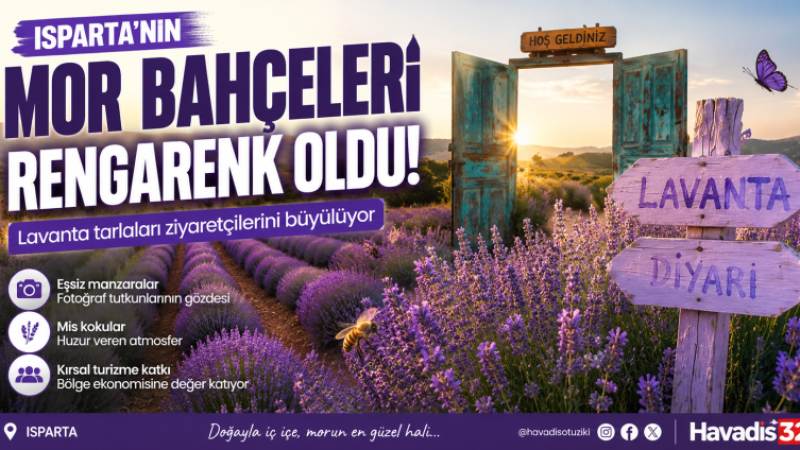 Isparta’nın Mor Bahçeleri Ziyaretçilerini Büyülüyor: Lavanta Tarlalarında Görsel Şölen Başladı