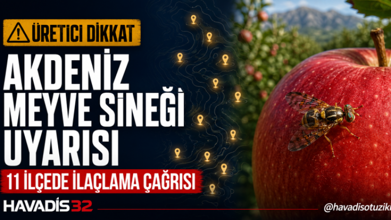 Isparta’da Akdeniz Meyve Sineği Uyarısı 11 İlçeye Çıktı